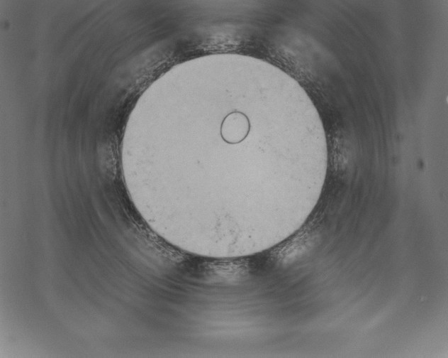 X0000067830370200605111623