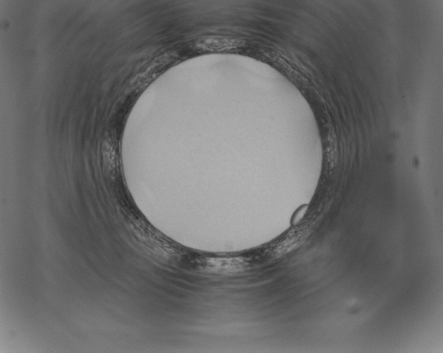 X0000067830371200605111623