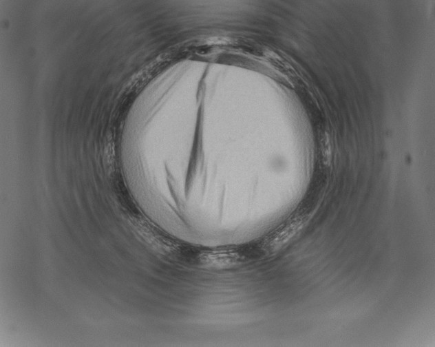 X0000067830372200605111623