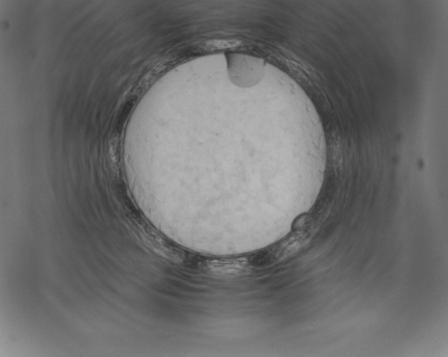 X0000067830373200605111623