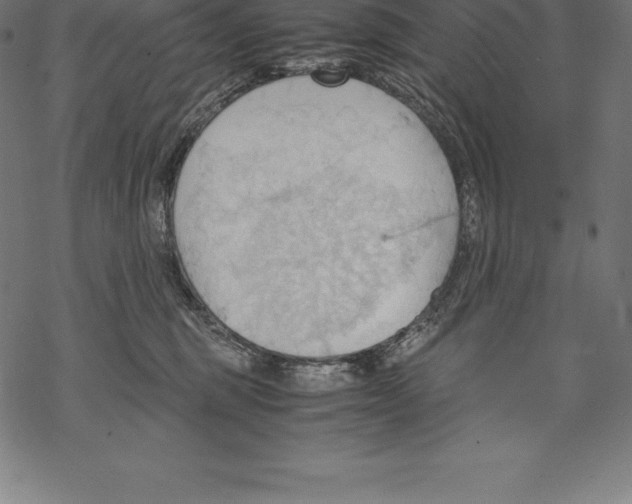 X0000067830375200605111623