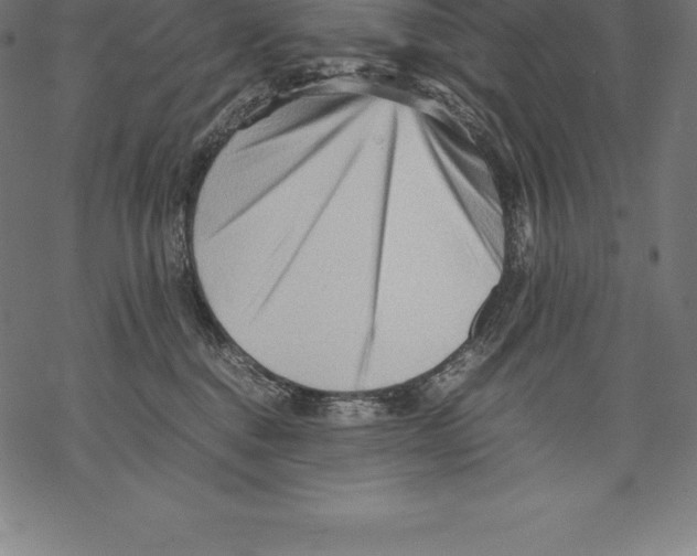 X0000067830376200605111623