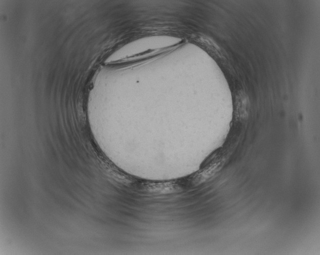 X0000067830377200605111623