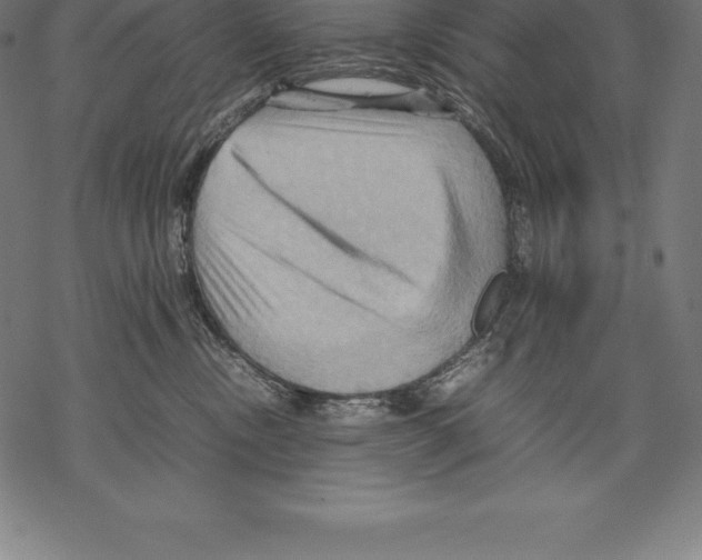 X0000067830378200605111623