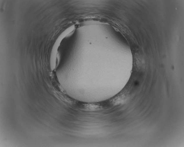 X0000067830380200605111623