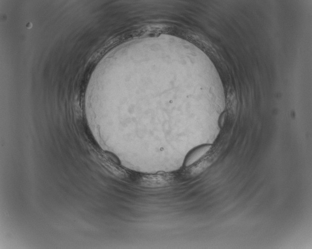 X0000067830381200605111623