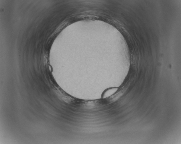 X0000067830382200605111623