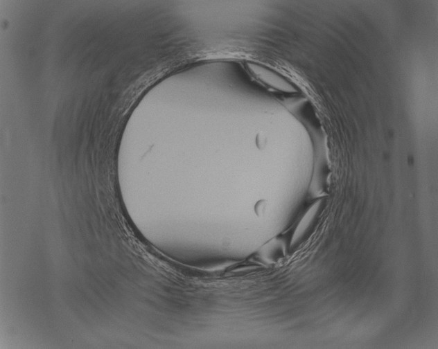 X0000067830385200605111622