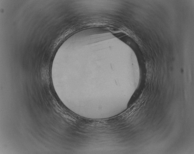 X0000067830386200605111622