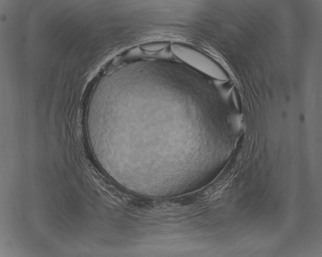 X0000067830387200605111622