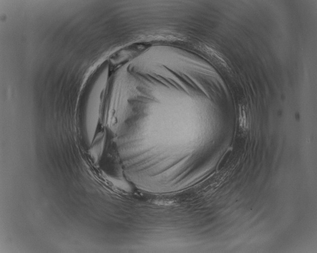 X0000067830388200605111622