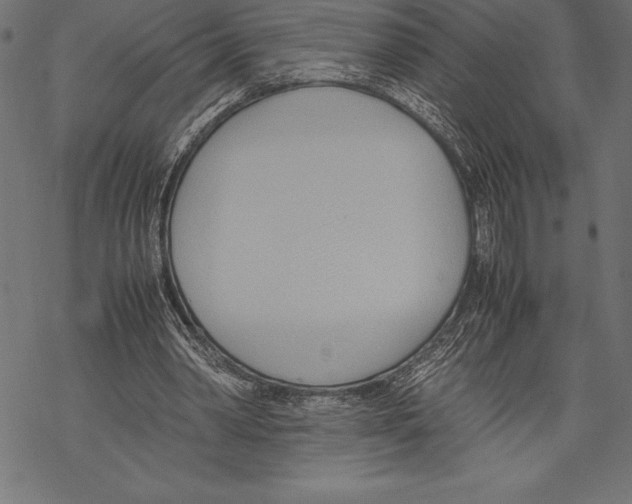 X0000067830390200605111622