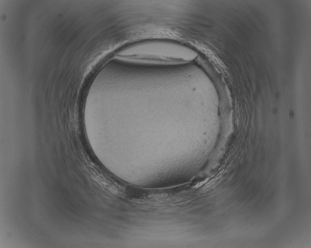 X0000067830391200605111622