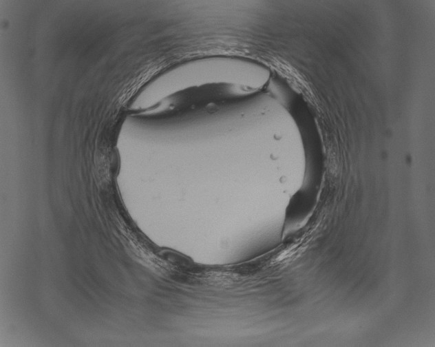 X0000067830393200605111622