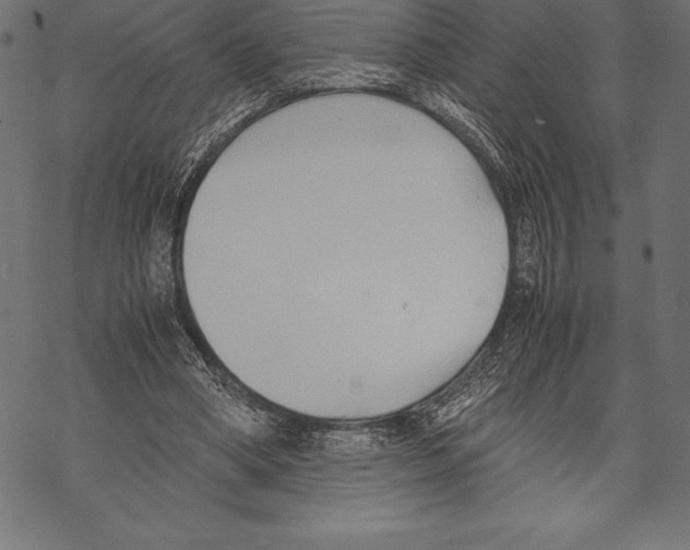 X0000067830394200605111622