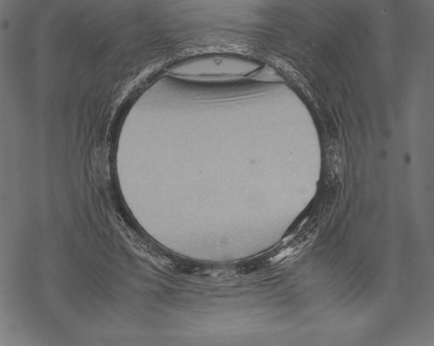 X0000067830395200605111622