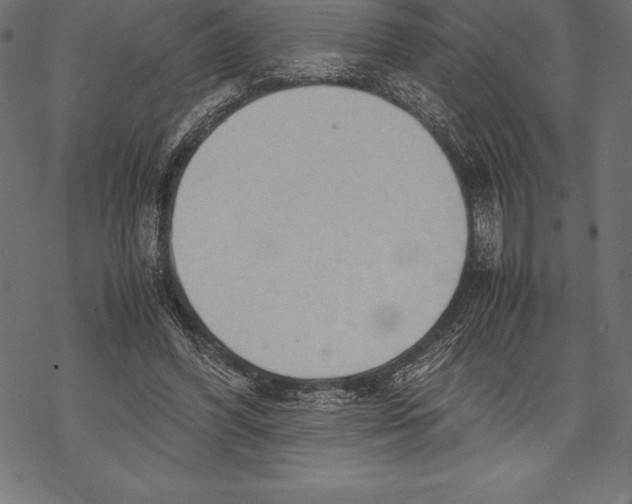 X0000067830396200605111622