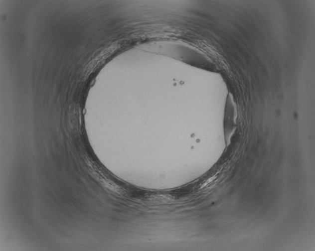 X0000067830397200605111622