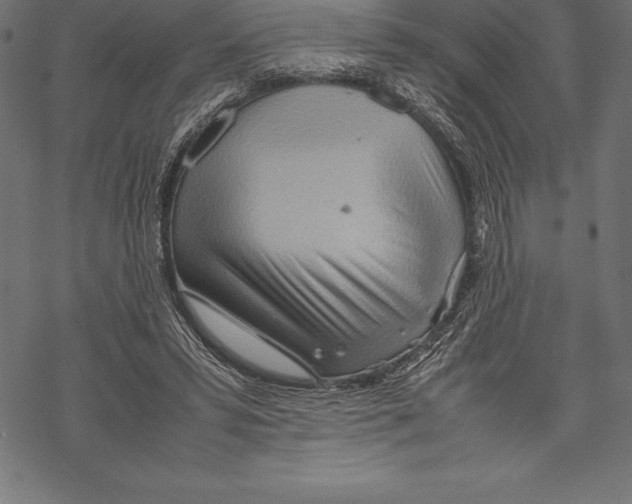 X0000067830399200605111622