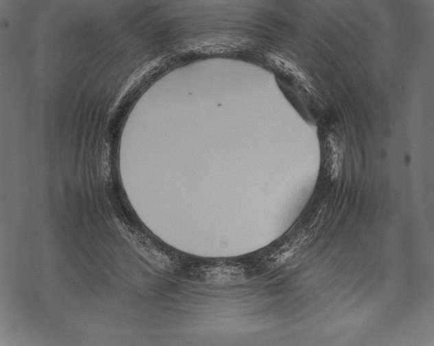 X0000067830400200605111622