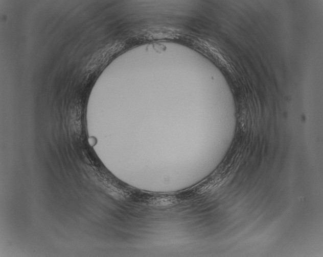 X0000067830402200605111622