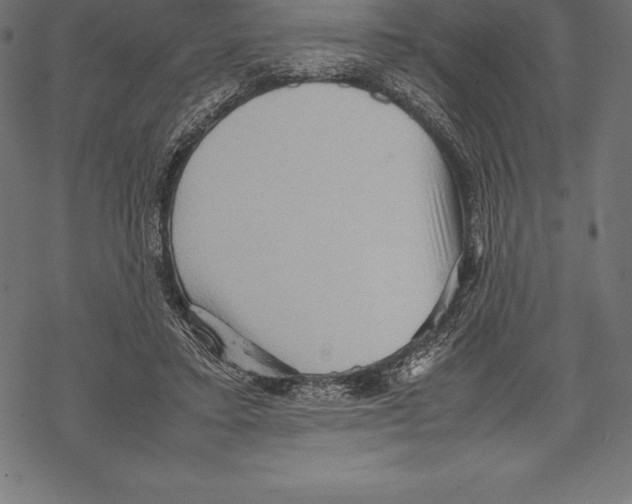 X0000067830403200605111622