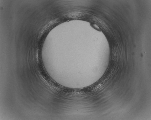 X0000067830404200605111622