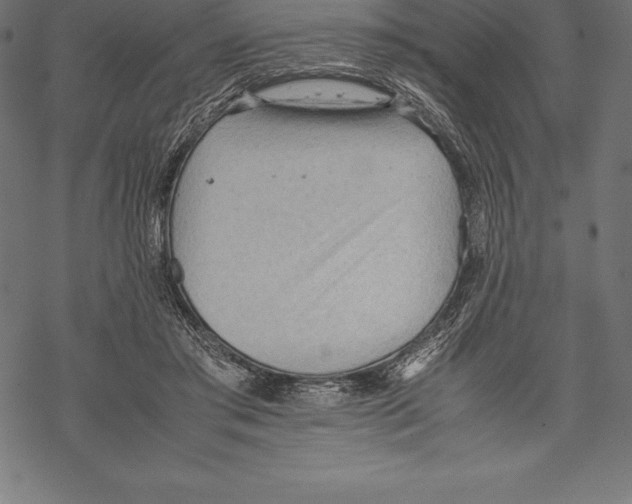 X0000067830405200605111622