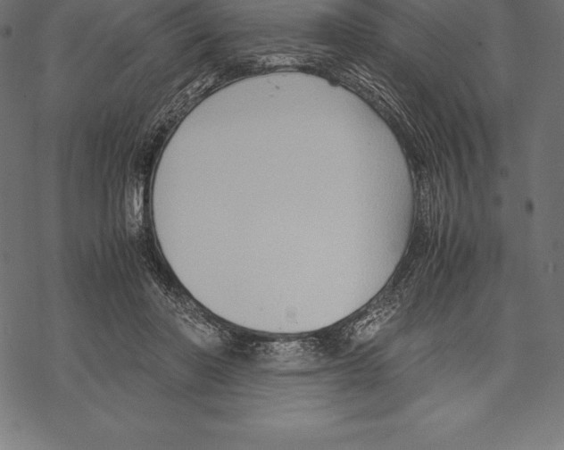 X0000067830406200605111622