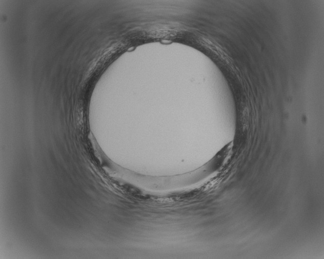 X0000067830407200605111622