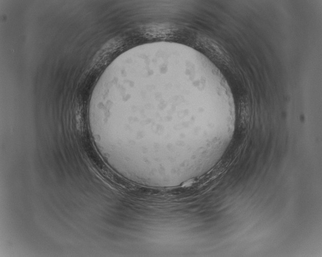 X0000067830408200605111622