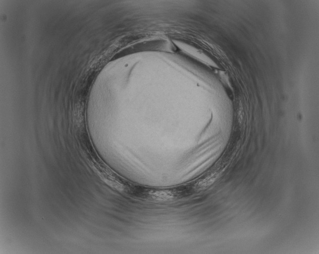 X0000067830409200605111622