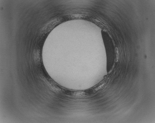 X0000067830410200605111622