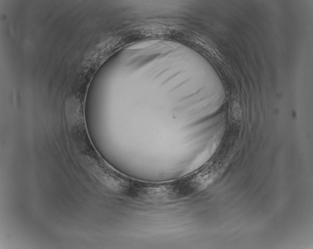 X0000067830411200605111622