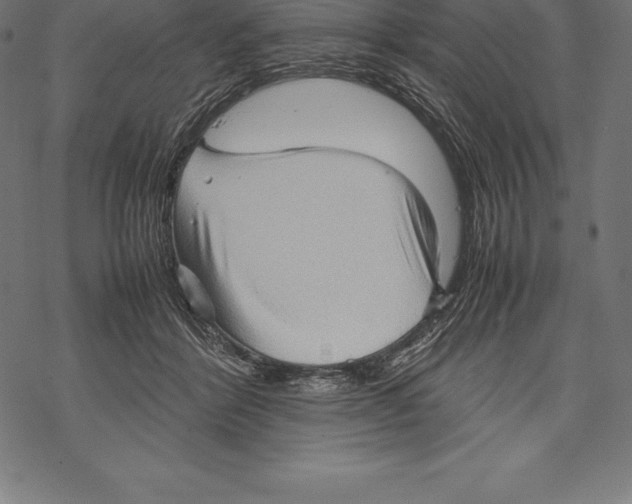 X0000067830412200605111622