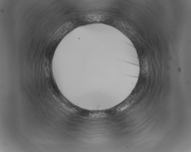 X0000067830414200605111622