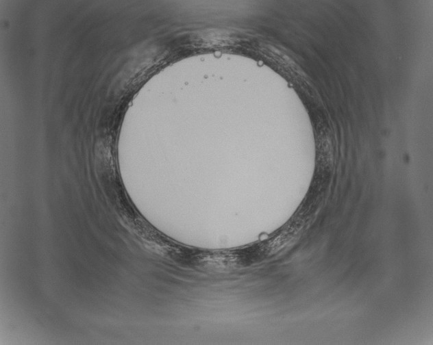 X0000067830415200605111622