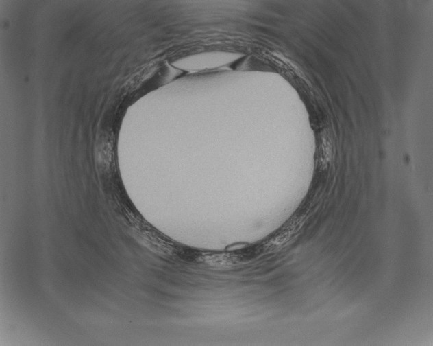 X0000067830417200605111622