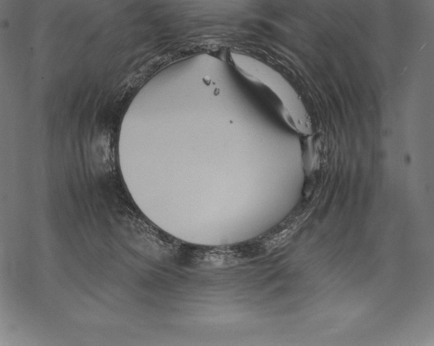 X0000067830420200605111622