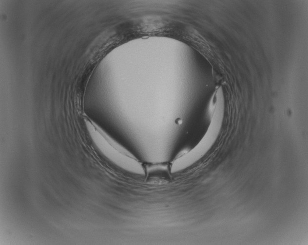 X0000067830421200605111622