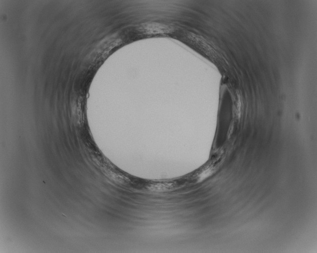 X0000067830422200605111622