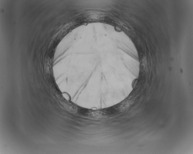 X0000067830423200605111622