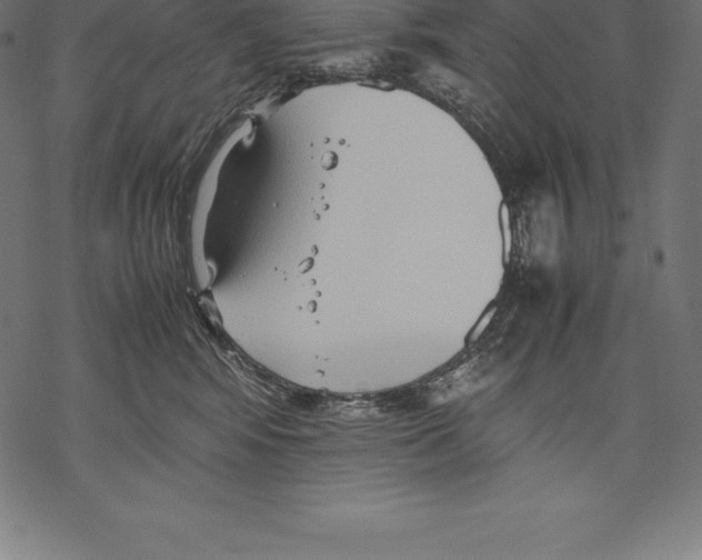 X0000067830424200605111622