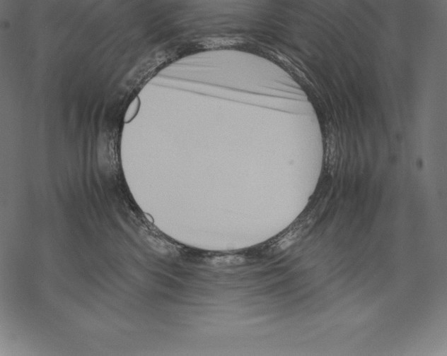 X0000067830426200605111622