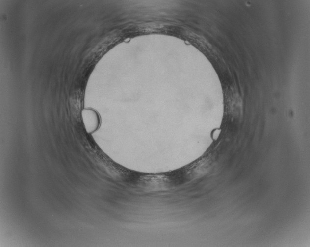 X0000067830427200605111622