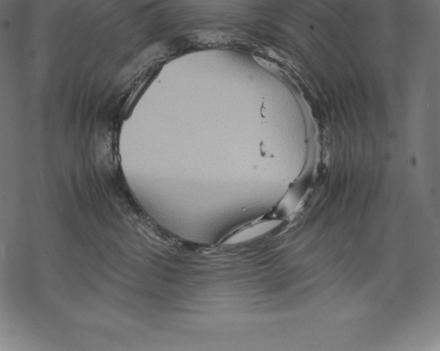 X0000067830428200605111622