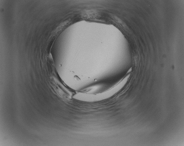 X0000067830429200605111622