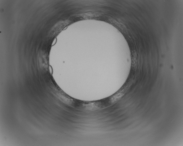 X0000067830430200605111622