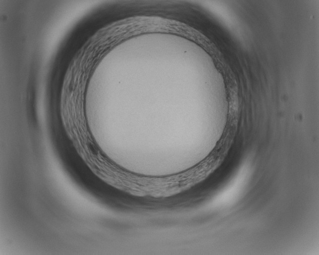 X0000067830431200605111622