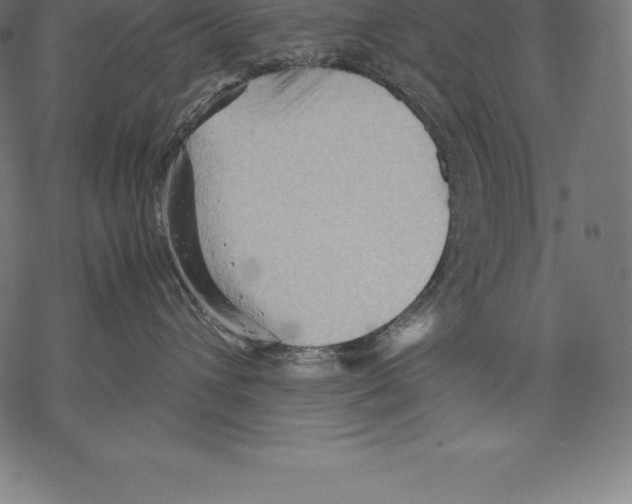 X0000067830432200605111622